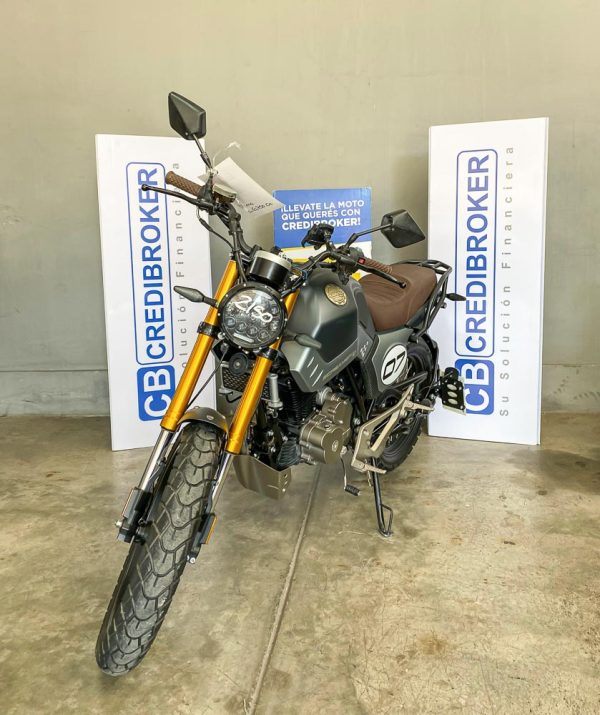VENTO SCREAMER 250 2024